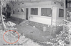 Kundapur: Leopard spotted in residential area